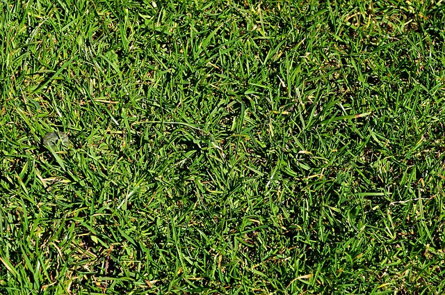 化解